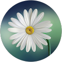 Anju Esha profile picture